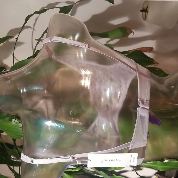 ❤❤️ NWT -  Journelle Daphne Demmi Lace Bra - Dove -  34C - Picture 2 of 5